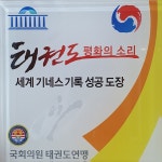 용인대인성태권도
