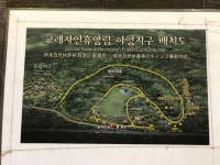 제주교래자연휴양림야영장