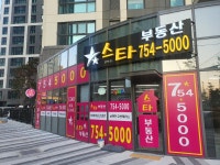 스타부동산공인중개사사무소