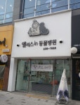 앨리스in동물병원