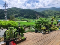 삼거동 추어탕