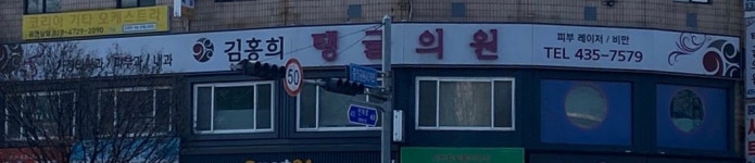 김홍희탱글의원