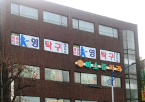 영탁구