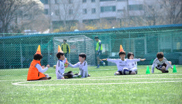 상록수태권도