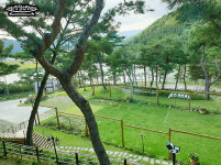 더미량