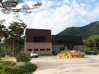 더미량