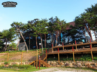 더미량