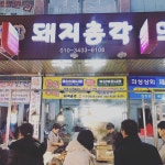 돼지총각