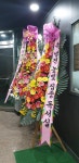 높빛독서실