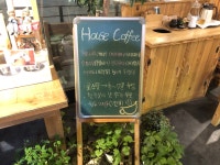 커피와나무