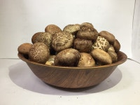 뜬돌농원