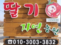 딸기자연농원