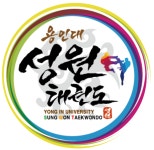 용인대성원태권도장