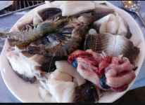 자연정