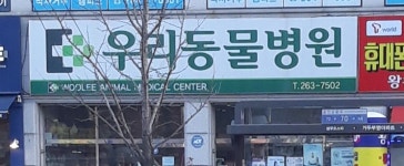 우리동물병원