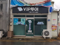 브이아이피투어