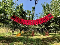 사슴이랑배랑농원 체험농장