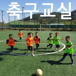 진영하늘빛태권도장