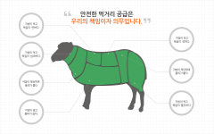 하이강원미트