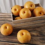 사슴이랑배랑농원 체험농장