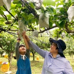 사슴이랑배랑농원 체험농장