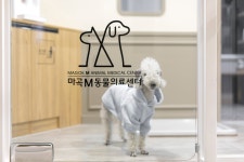 마곡M동물의료센터