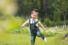 온새미로
