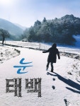 힐링드림협동조합