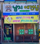 남지애견샵