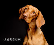 스튜디오김씨지 여수본점