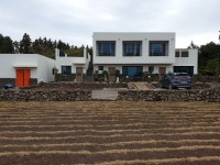 가시리 유채꽃길