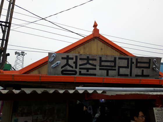 청춘부라보 사진