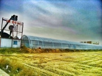 삼부농장김포와우하우스