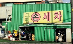 그린손세차