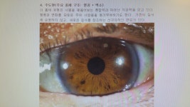 안경본데이 신평점