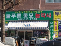 늘푸른종묘농약사