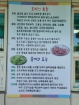 청와오리