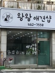 왕왕애견샵