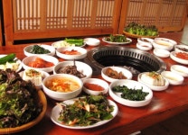 강원멧돼지