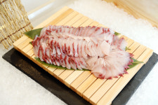 콜라보마이스컨벤션센터