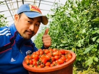 토마토 오빠