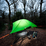 텐트사일아시아