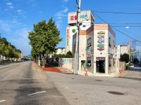 지리산송이버섯