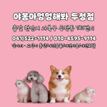 야옹아멍멍해봐 두정점