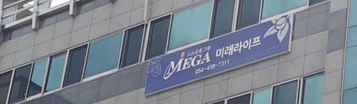 미래라이프