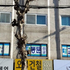 동문선교교회
