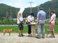 창원북면우렁이