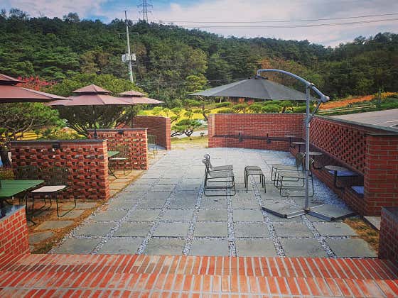 아디스브라운 사진