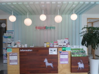 한결같은동물병원