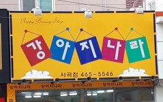 강아지나라 사곡점